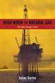 High Noon for Natural Gas: The New Energy Crisis, Julian Darley 
