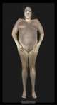 Gary Schneider: Nudes, Gary Schneider 