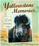 Yellowstone Memories: 30 Years of Stories and Photos, Michael H. Francis 