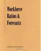 Workforce Ratios & Forecasts 2008, Schonfeld & Associates, Inc. 