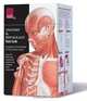 Anatomy & Physiology Flash Cards, Various 