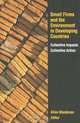 Small Firms and the Environment in Developing Countries: Collective Impacts, Collective Action, 
