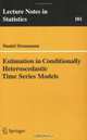 Estimation in Conditionally Herteroscedastic Time Series Models, Daniel Straumann 