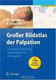 Grosser Bildatlas der Palpation: Anatomische Strukturen gezielt lokalisieren und begreifen, Marjan Laekeman, Roland Kreutzer 