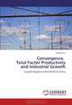 Convergence, Total Factor Productivity and Industrial Growth: Growth Empirics in Post-Reform China, Hong Chen 