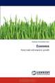 Essesess: Policy tools and economic growth, Farkhod Yarmukhamedov 
