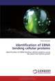 Identification of EBNA binding cellular proteins: Identification of EBNA binding cellular proteins using the yeast two hybrid system, Elena Kashuba 
