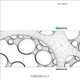 Scionic: Purpose-driven Gestalt: The End of Design?, Axel Thallemer 