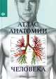 Атлас анатомии человека. Все органы человеческого тела. 6-е издание, отв. ред. Н.В. Надольская 