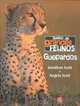Diario de grandes felinos: guepardos (Spanish Edition), Jonathan Scott y Angela Scott 