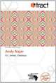 Andy Najar (German Edition), 