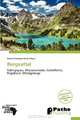Bergsattel (German Edition), 