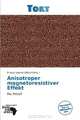 Anisotroper magnetoresistiver Effekt (German Edition), 