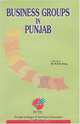 Business Groups in Punjab, 