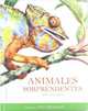 Animales Sorprendentes del Mundo (Spanish Edition), Rachel Williams 