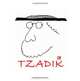 Tzadik (Volume 1) (Portuguese Edition), Alan Sklar 