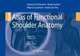 Atlas of Functional Shoulder Anatomy, 