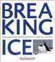 Breaking Ice, Jan Vermeer 