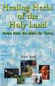 Healing Herbs of the Holy Land: Herbs from the Bible for Today, Dan Wolf 