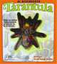 Al descubierto la tarantula : Uncover a Tarantula, Spanish-Language Edition (Al Descubierto), David George Gordon 