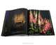 The English Garden at Night, Linda Rutenberg 