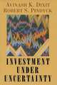 Investment Under Uncertainty, Avinash K. Dixit, Robert S. Pindyck 