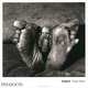 Outland, Ballen Roger 