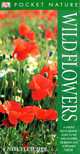Wild Flowers, Neil Fletcher 