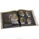 Evolution: The Human Story, Alice Roberts 