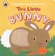 This Little Bunny, Lucy Lyes 