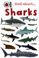 Mad about... Sharks, Deborah Murrell 