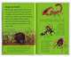 Mad about... Bugs, Deborah Murrell 