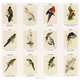 Календарь 2012 (на спирали). Parrots. Edward Lear, 