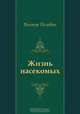 Жизнь насекомых, Виктор Пелевин 