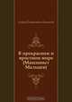 В прекрасном и яростном мире (Машинист Мальцев), Андрей Платонович Платонов 