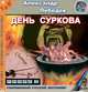 День Суркова, Александр Лебедев 