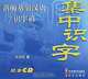 Rapid Literacy in Chinese (аудиокнига на 2 CD), 