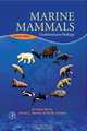 Marine Mammals, Annalisa Berta 