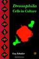 Drosophila Cells in Culture, Guy Echalier 