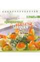 Праздничные салаты и закуски, 