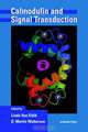 Calmodulin and Signal Transduction, Linda J. Van Eldik 