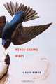 Never–Ending Birds – Poems, David Baker 