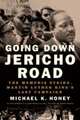 Going Down Jericho Road – The Memphis Strike, Martin Luther King?s Last Campaign, Michael K Honey 