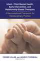 Infant/Child Mental Health, Early Intervention and Relationship–Based Therapies – A Neurorelational Framework for Interdisciplinary Practice, Connie Lillas 