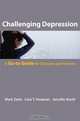 Challenging Depression – A Go–to Guide for Clinicians and Patients, Kurth Hoepner 