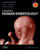 Larsen's Human Embryology,, Gary Schoenwolf 