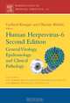 Human Herpesvirus-6,12, Gerhard Krueger 