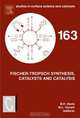 Fischer-Tropsch Synthesis, Catalysts and Catalysis,163, Burtron H. Davis 