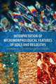 Interpretation of Micromorphological Features of Soils and Regoliths, Georges Stoops 