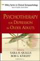 Psychotherapy for Depression in Older Adults, Sara Honn Qualls 